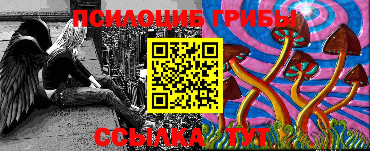 Галлюциногенные грибы Psilocybine cubensis  Галлюциногенные грибы мицелий  Вход с VPN  Новосибирск 
